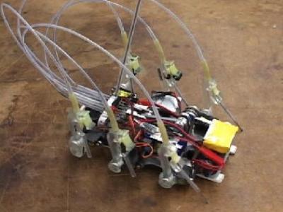 Robot biomimetikoak