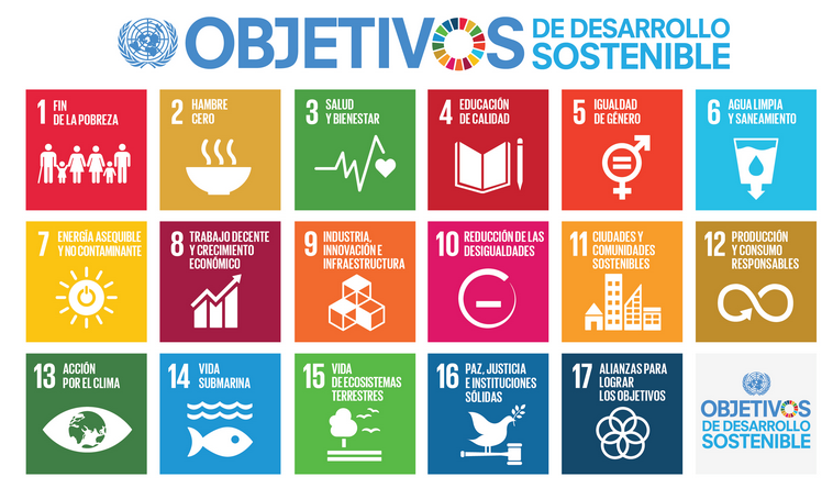 Agenda 2030 y los Objetivos de Desarrollo Sostenible